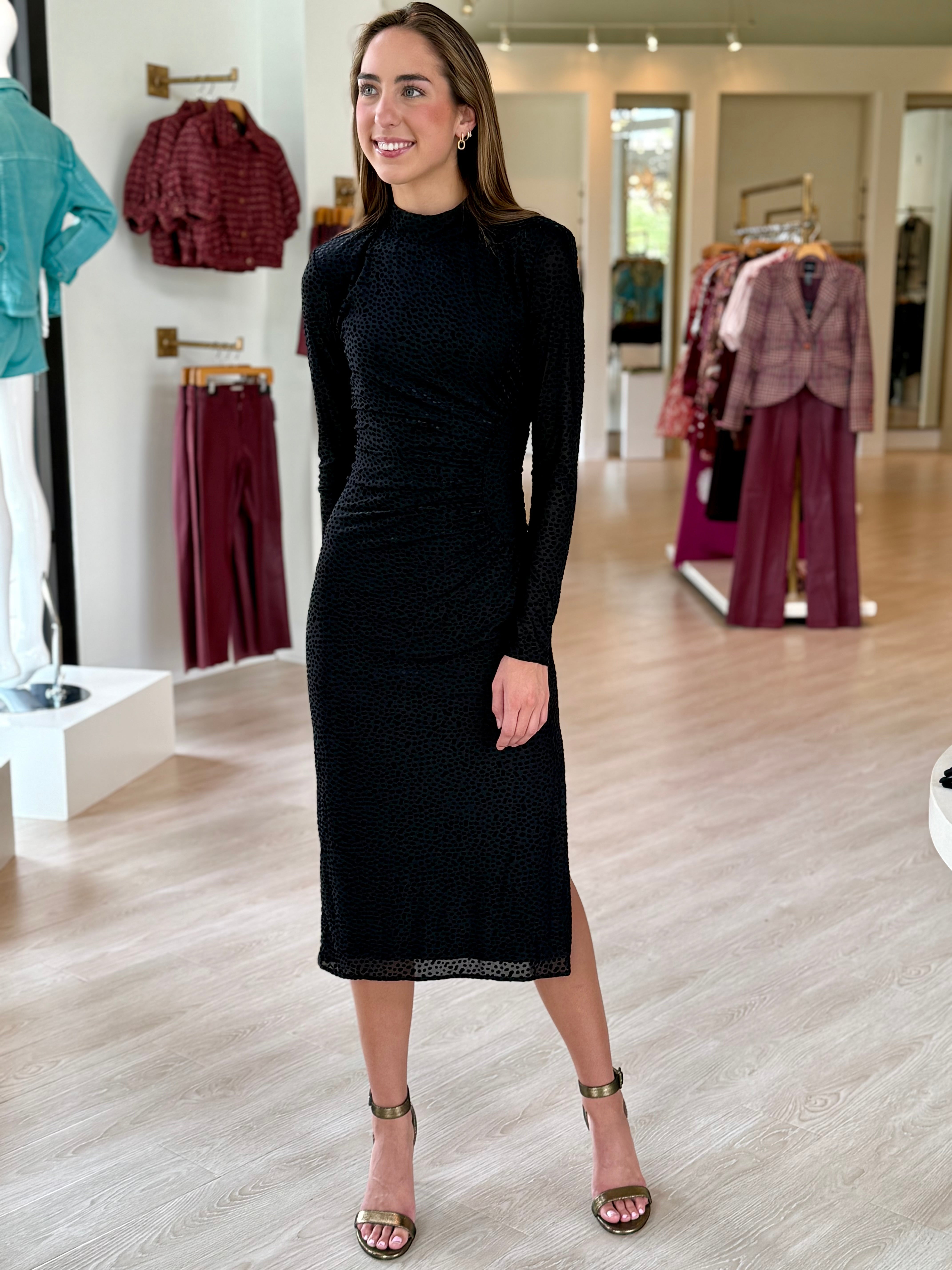 Raa3041 Sheer Dot Midi Dress