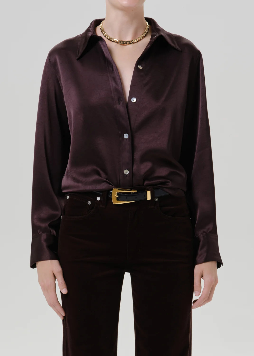 Ci1904 Espresso Button Down