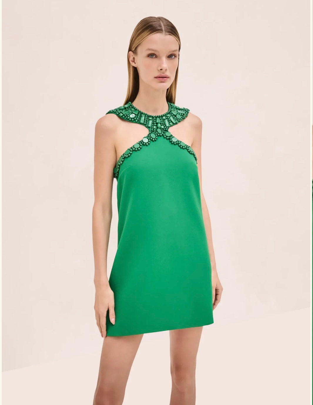 Almanuela Emerald Embellished Dress