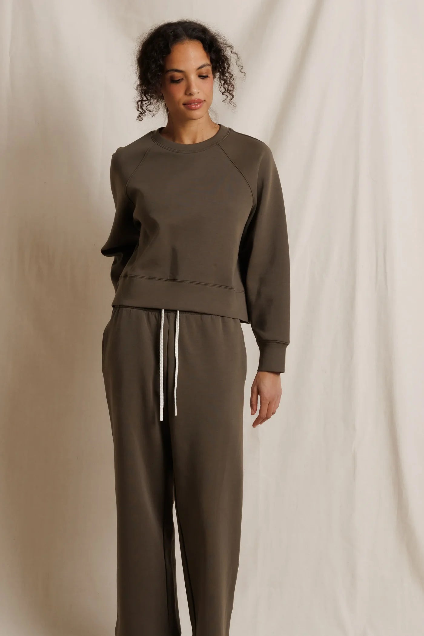 Pet349 Olive Stripe Sweatshirt