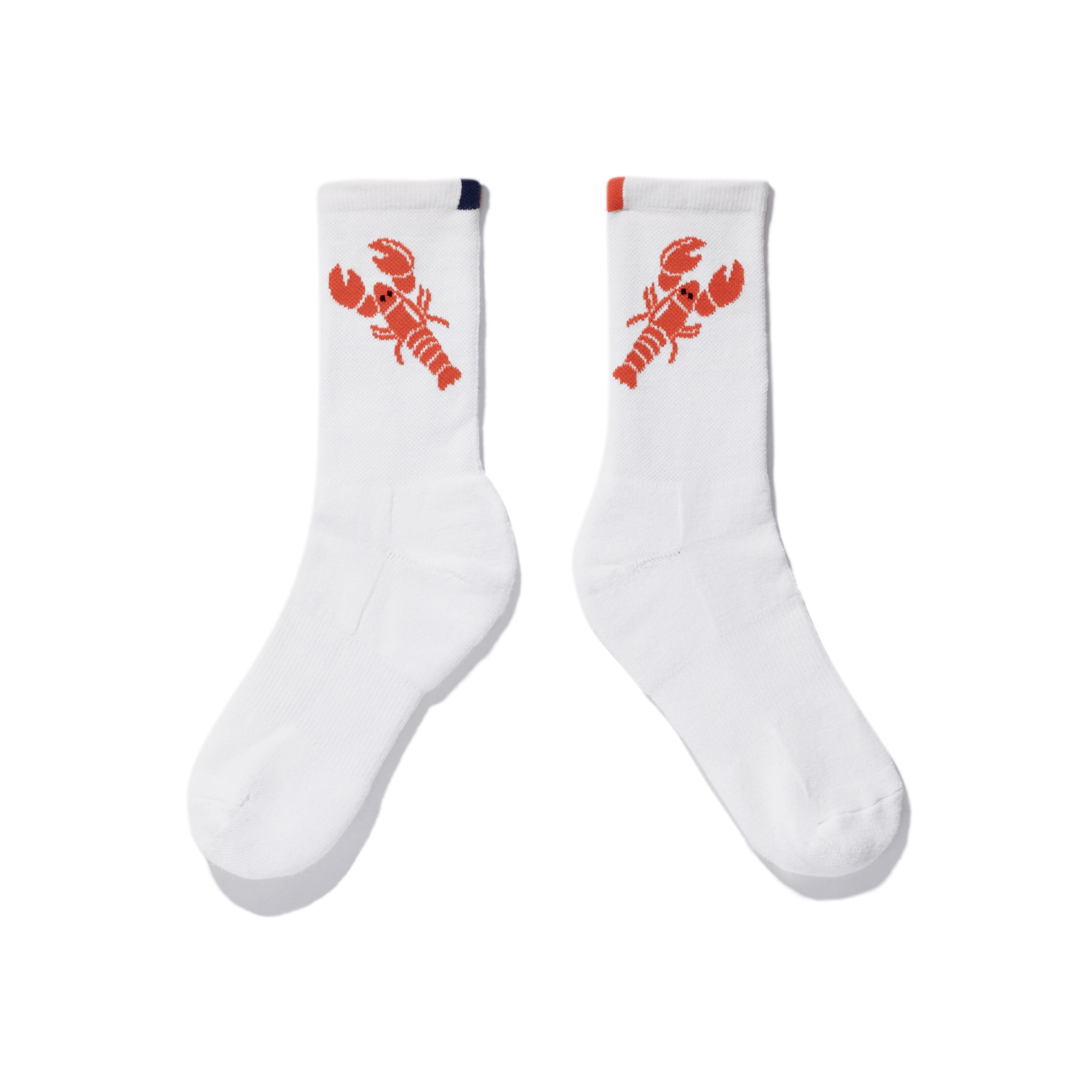 Lobster Socks
