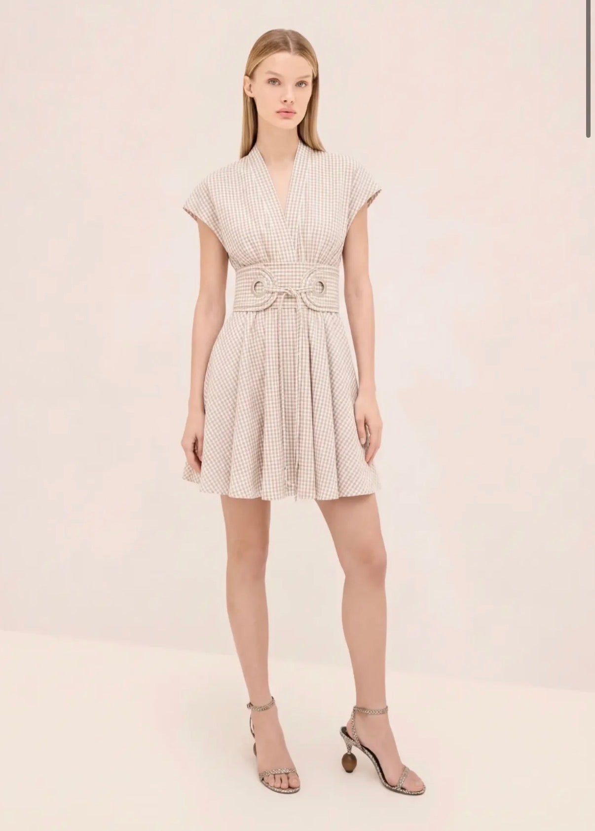 Alalizee Gingham Dress