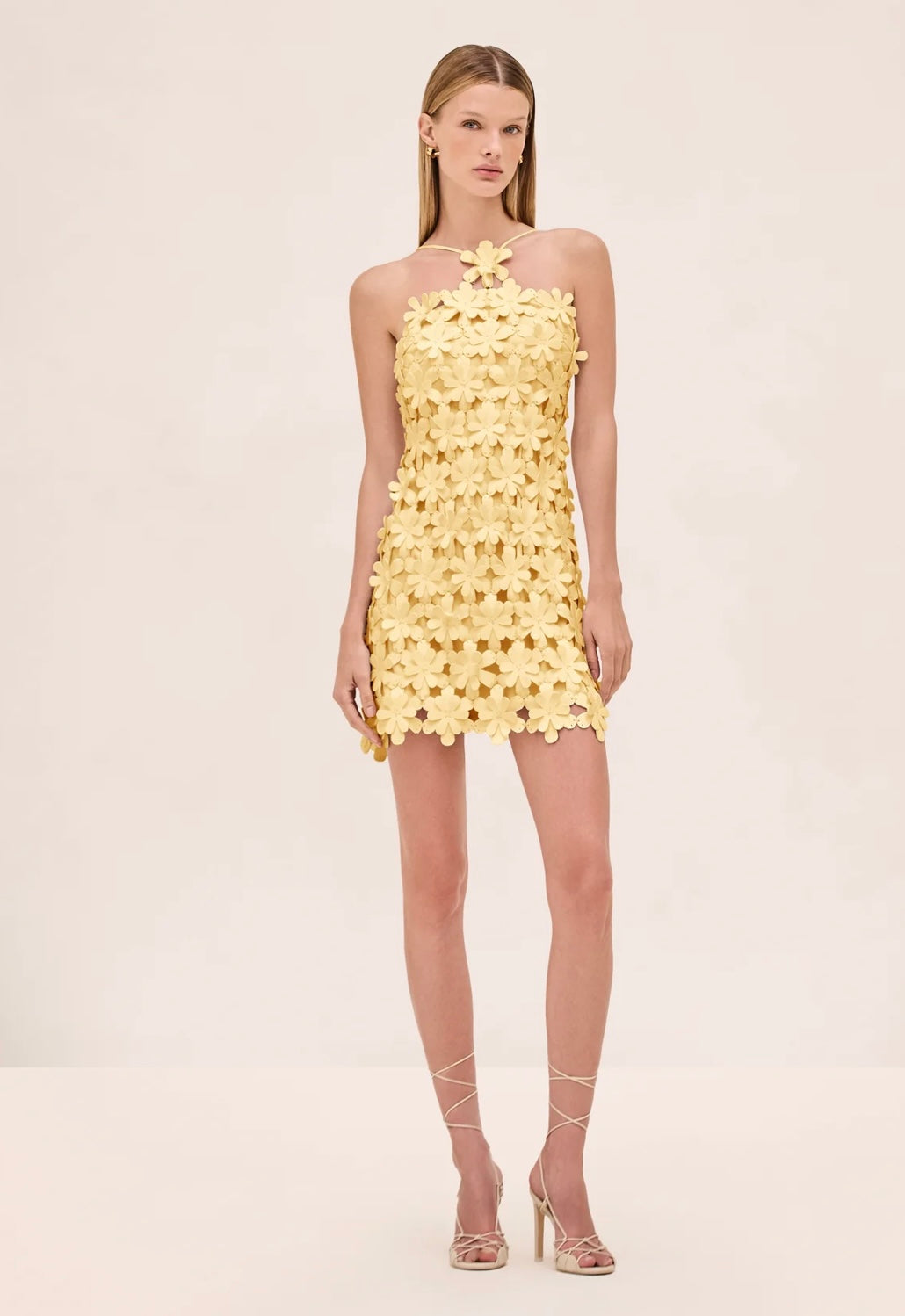 Allily Lemon Appliqué Dress