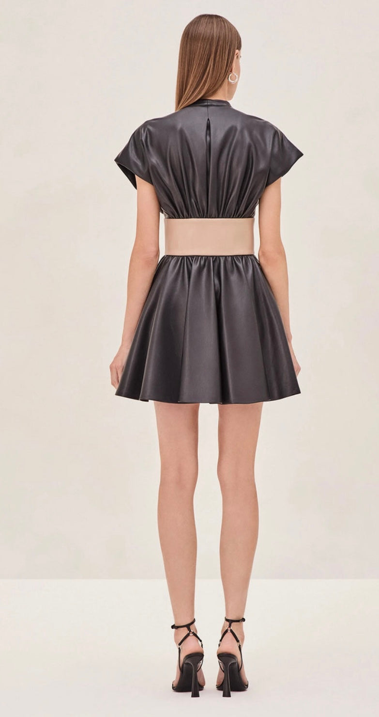 Alberlin Black Vegan Leather Dress