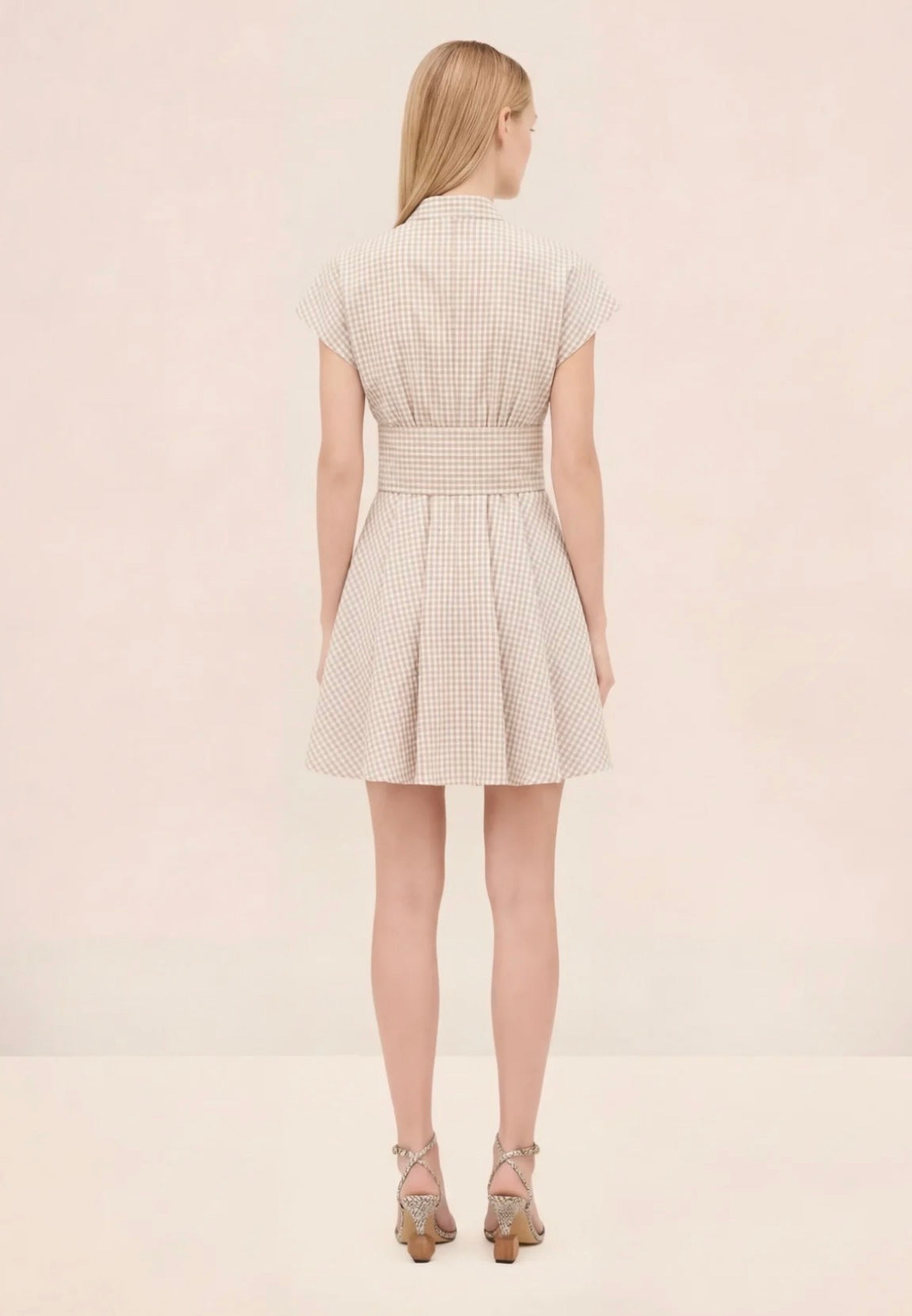 Alalizee Gingham Dress
