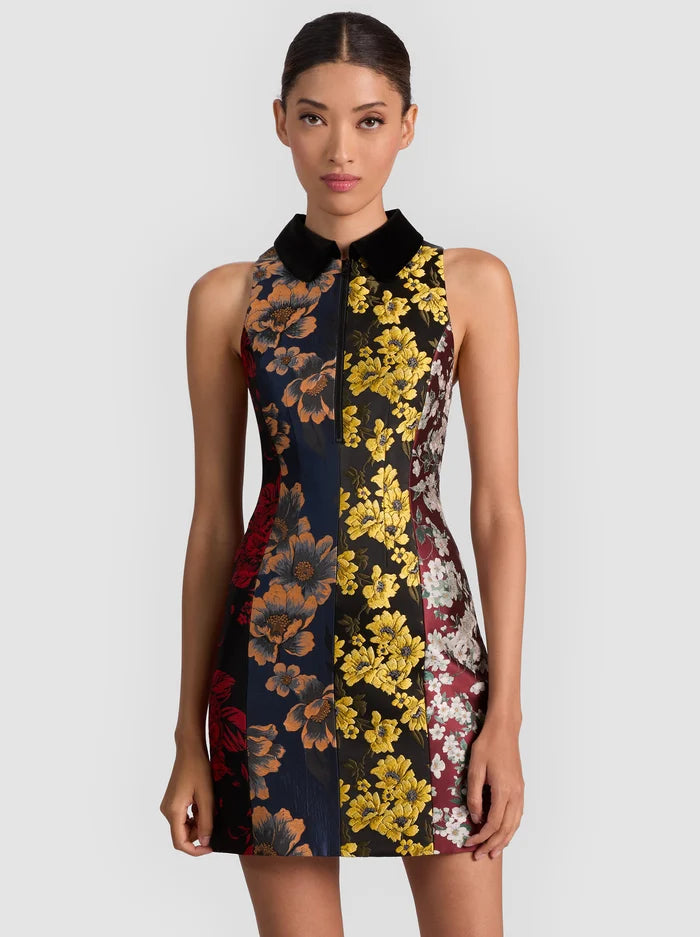 Alcc509n Floral Stripe Mini Dress